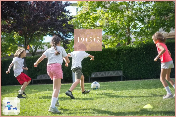 19+5+2