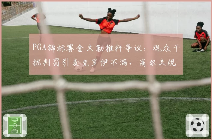 PGA锦标赛舍夫勒推杆争议，观众干扰判罚引麦克罗伊不满，高尔夫规则改革呼声再起