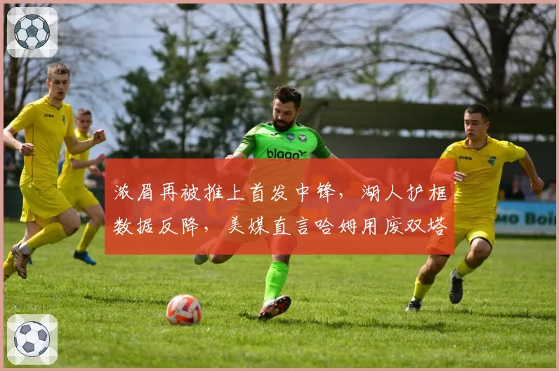 浓眉再被推上首发中锋，湖人护框数据反降，美媒直言哈姆用废双塔优势