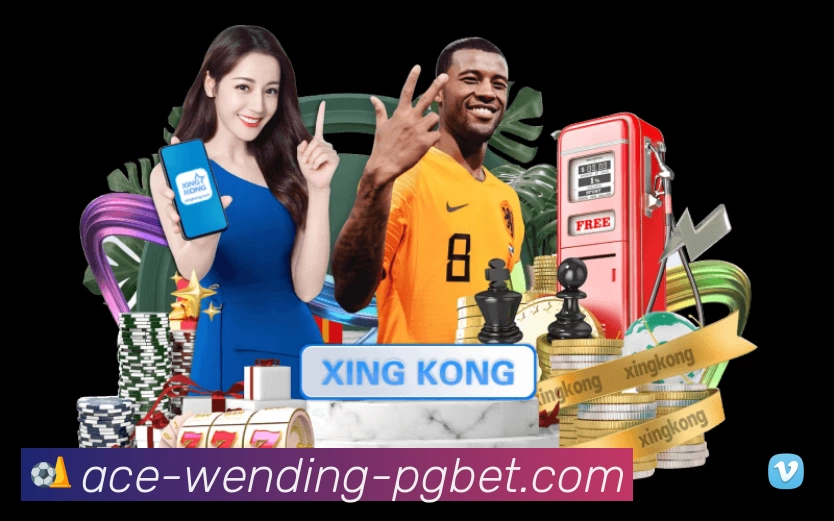 问鼎PG平台展示